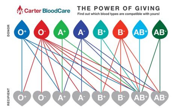 Can O Negative donate to anyone?