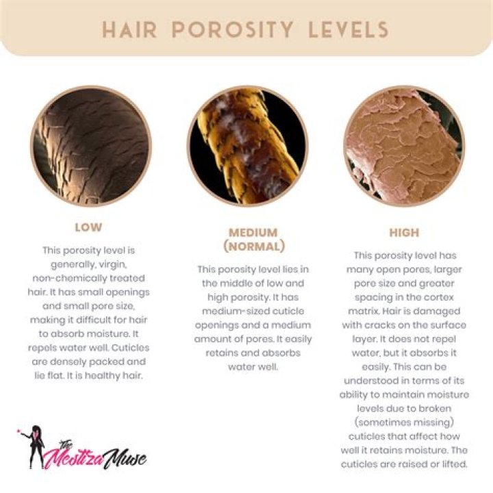Can virgin hair have high porosity?