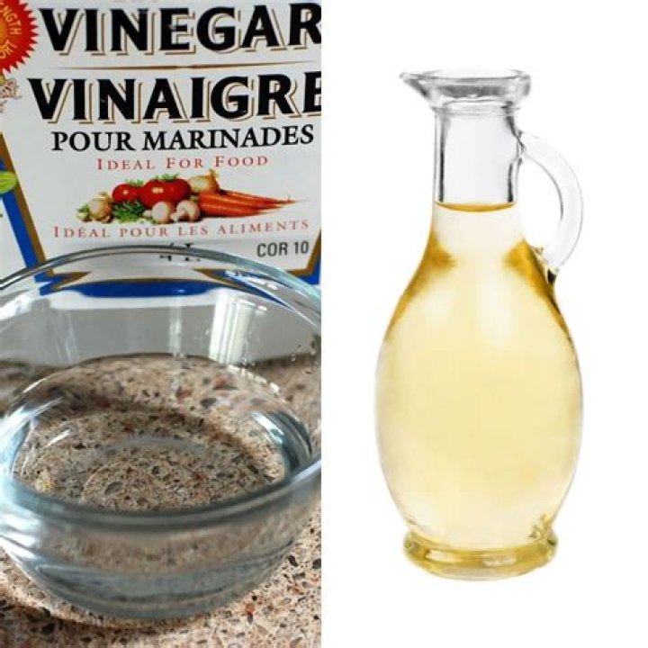 Do mosquitoes hate white vinegar?