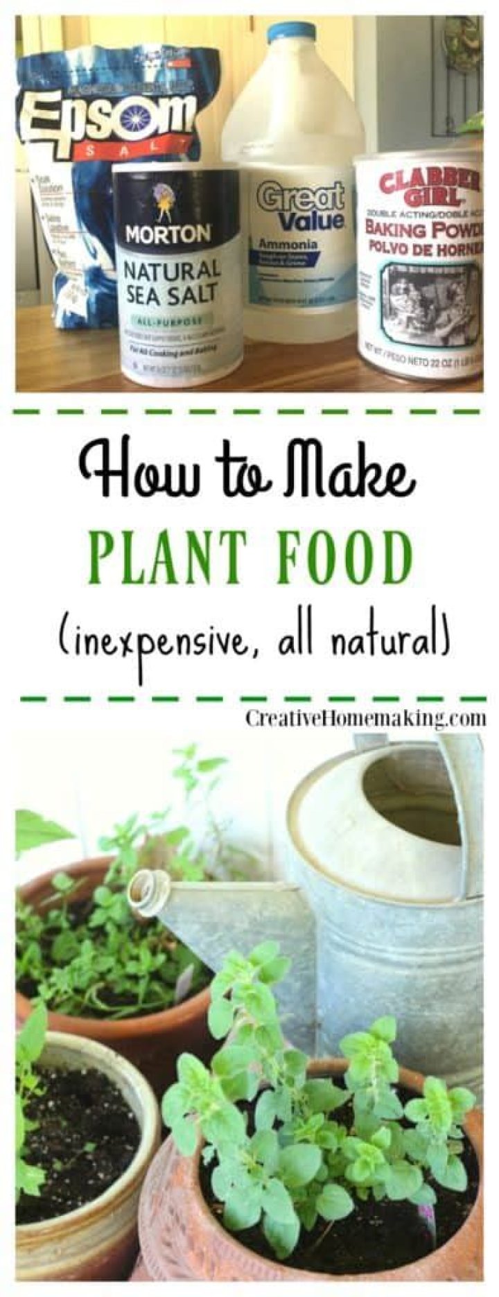 How do I make homemade plant food?