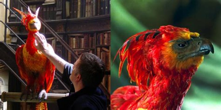 Is Aurelius phoenix Fawkes?