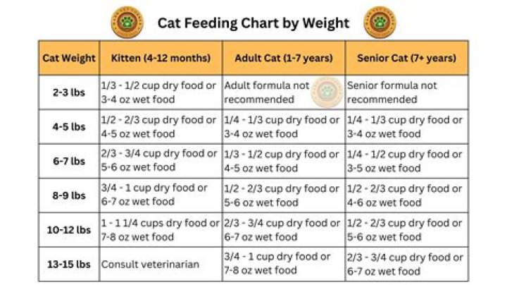 Should I give Johnny my body?