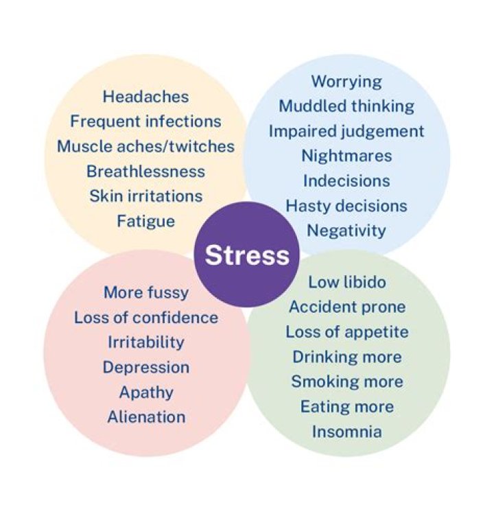 What are four signs of stress?