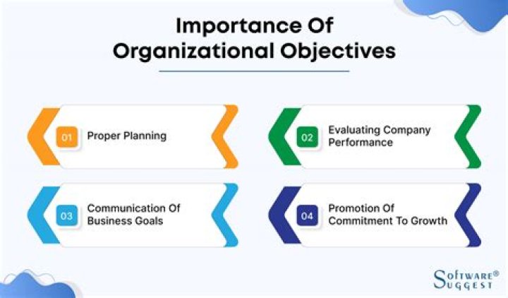 What are the importance and objectives of organizing?