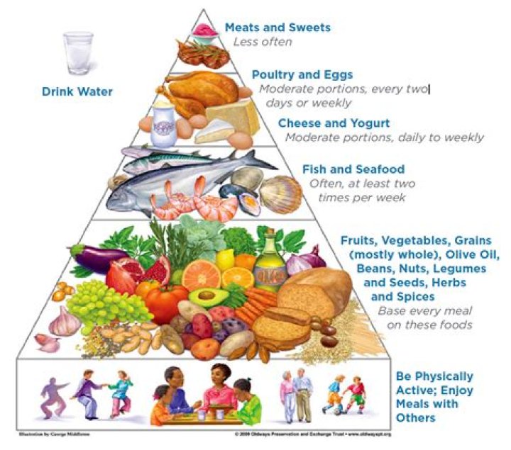 What food is best for malnutrition?