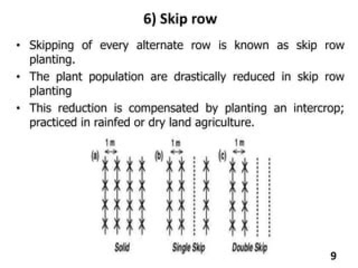 What is skip row planting?