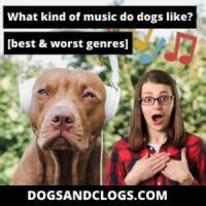 What music do dogs dislike?