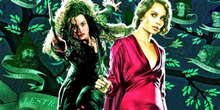 Who is needle Lestrange?