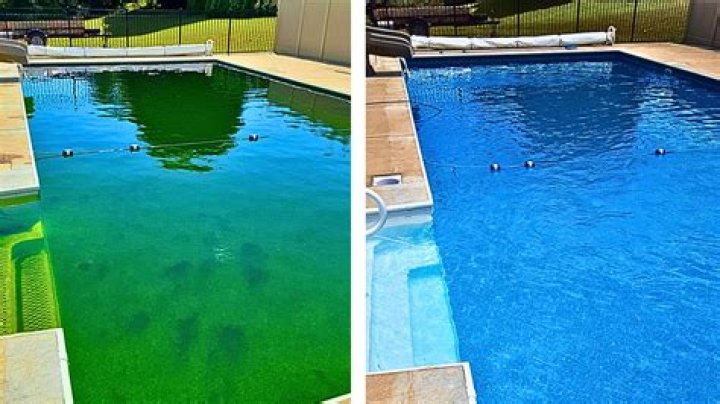 Will bleach clear up a green pool?